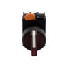 1NO1NC_ACDC_24V_LED_Two_Position_Latching_Left_Right_Rotary_Selector_Switch_2.jpg 1NO1NC Two-Position Double Latching Illuminated Rotary Selector Switch, DC 24V