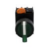 1NO1NC Two-Position Right-Momentary Illuminated Rotary Selector Switch, DC 24V